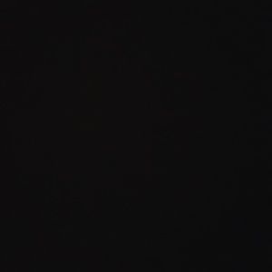 Meet your Posher, Eunice